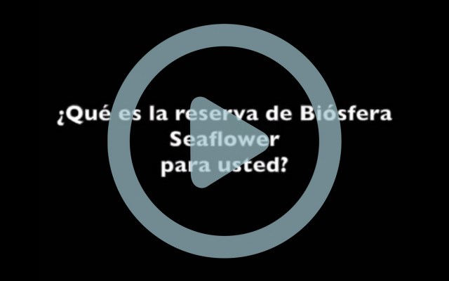 Que es la reserva de biosfera para usted